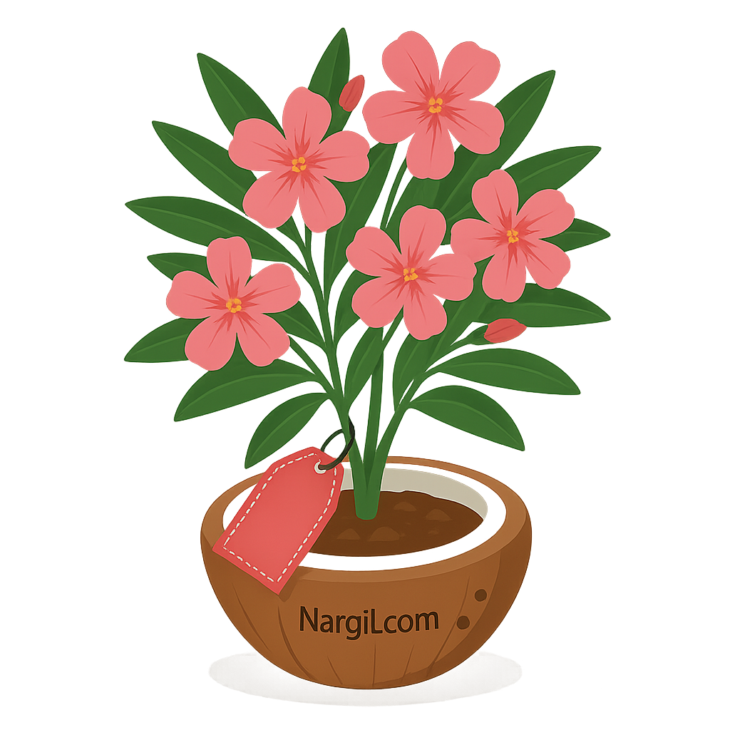 Nargil_Nerium Oleander